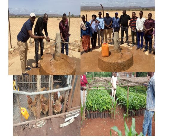 Clean water supply in Somali,and SNNP region, chicken and avocado seedling support in Sidama